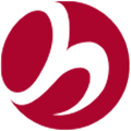 ball icon1